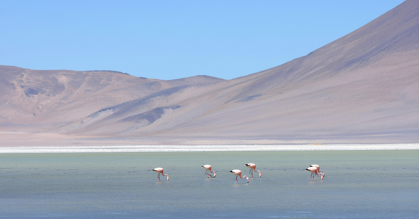 Atacama